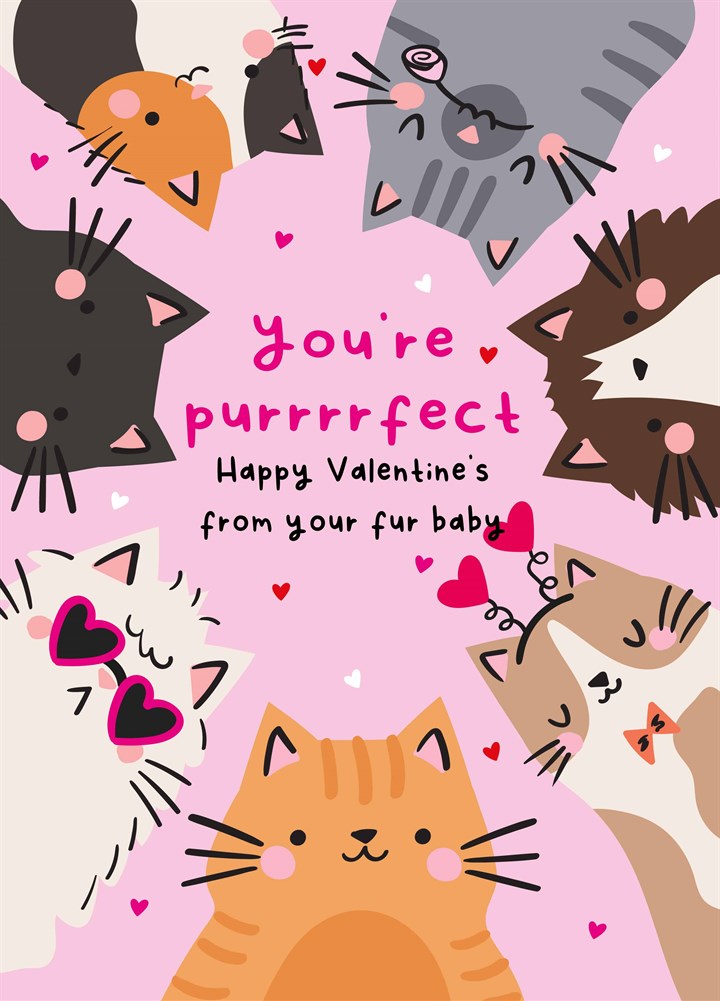 Purrrrfect From The Cat Valentine's Card