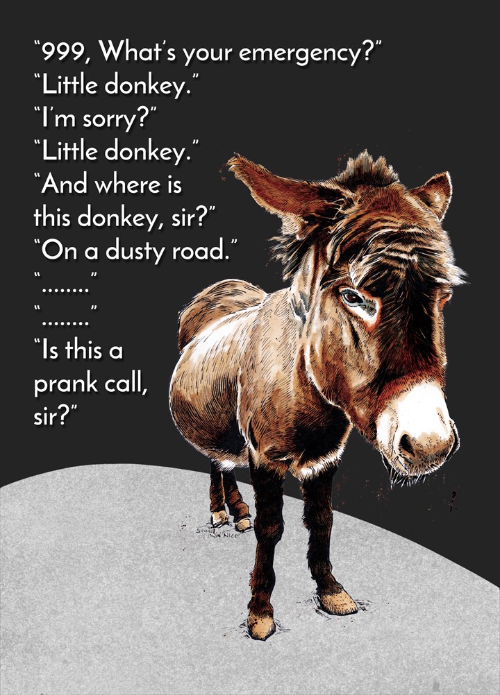 Little Donkey Card