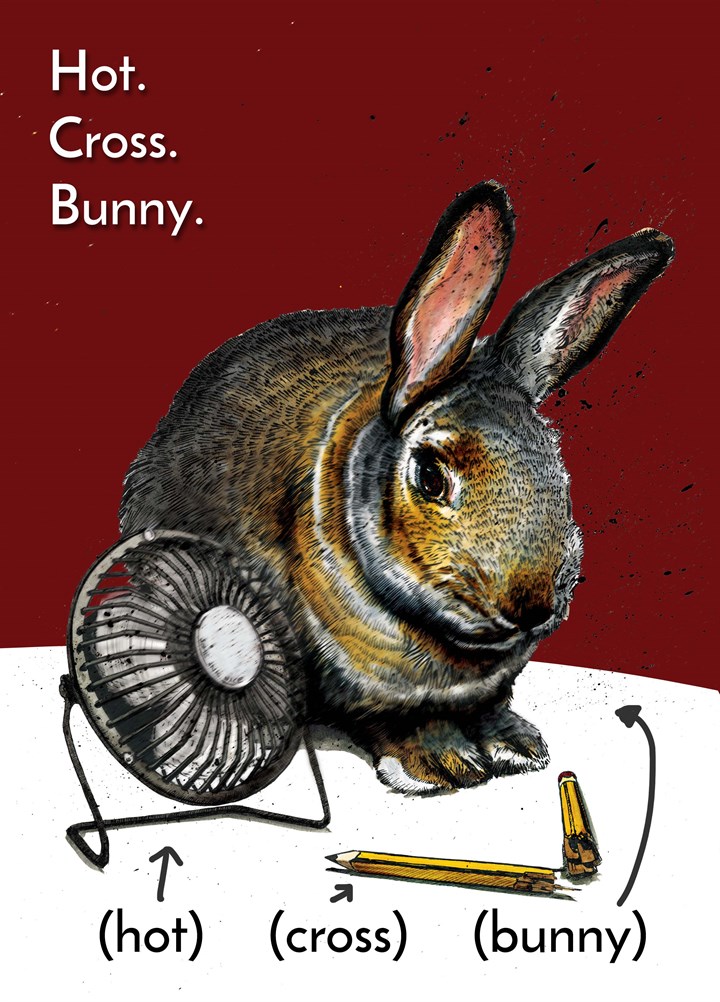 Hot Cross Bunny Card