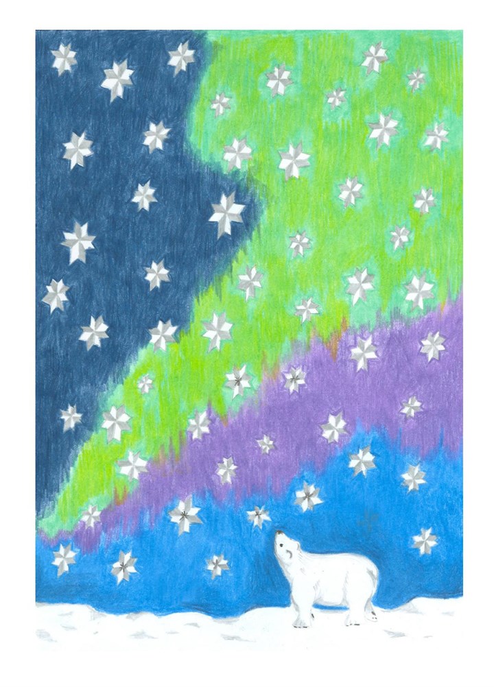 Polar Bear Northern Lights Card