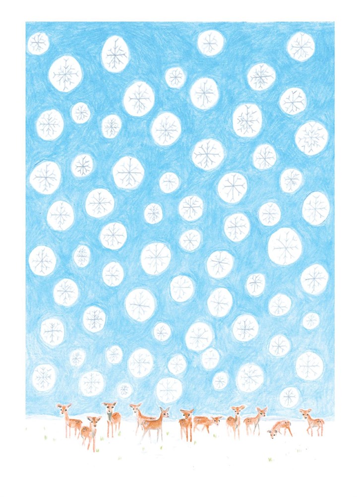 Deer In The Snow Card