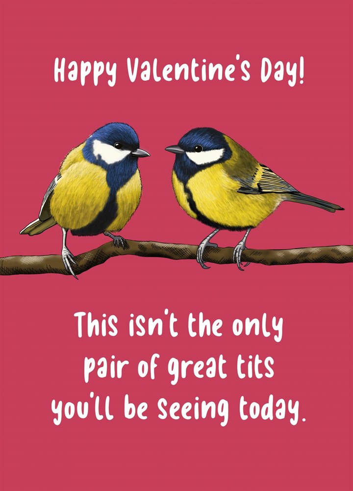 Great Tits For Valentine's Day Card