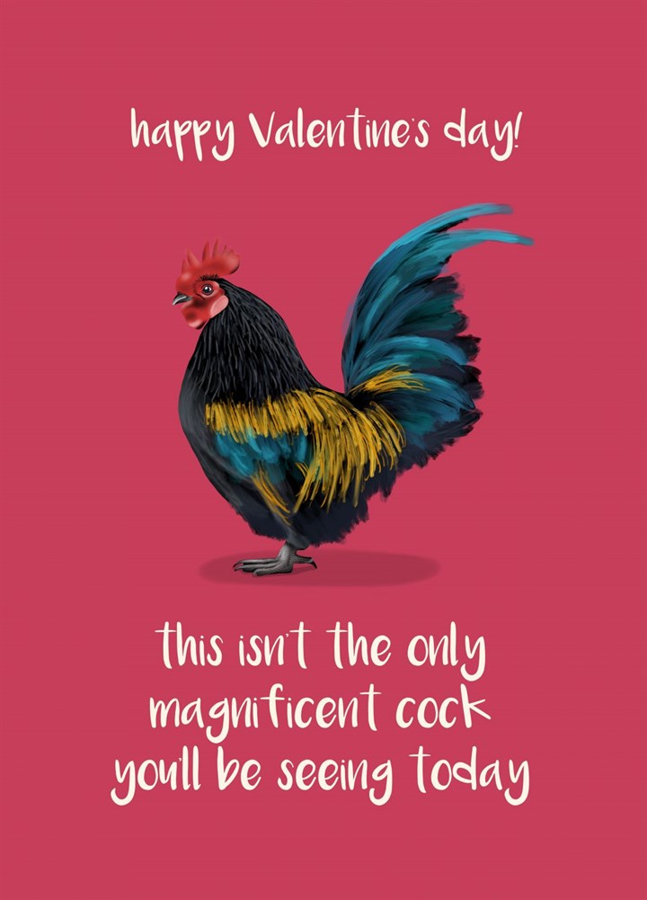Magnificent Cock For Valentine's Day Card