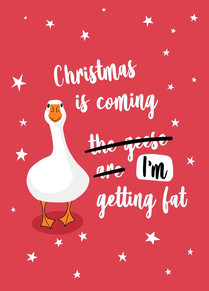 Funny Fat Goose Christmas Card