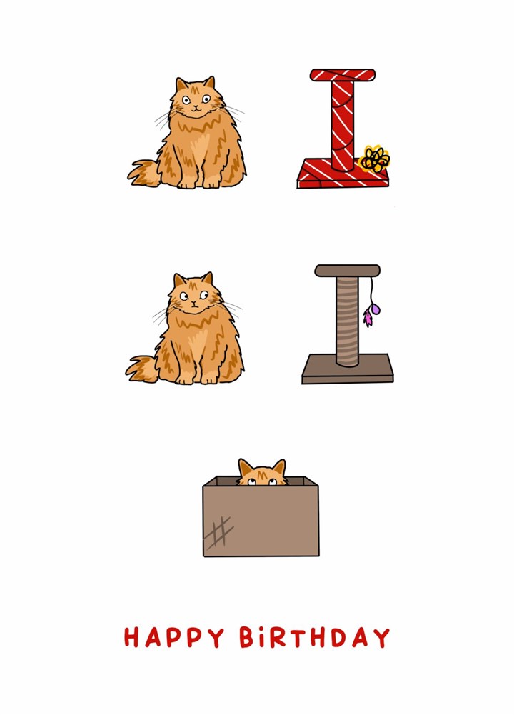 Cat In Box Birthday Card