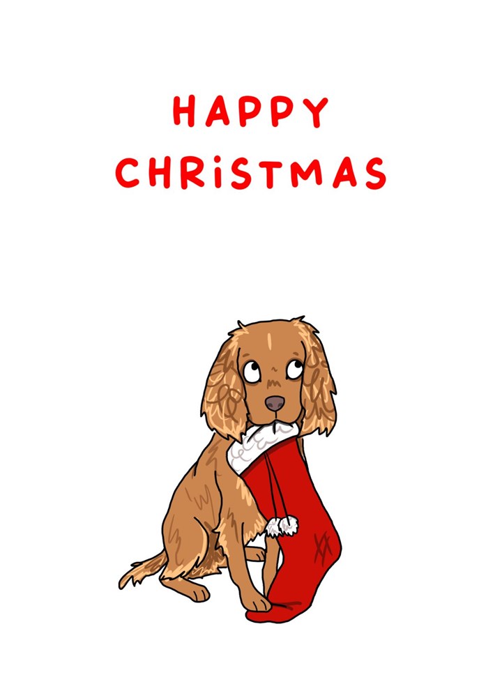 Cocker Spaniel With Christmas Stocking Card