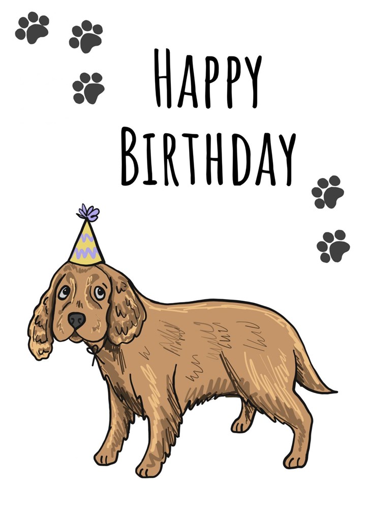 Happy Birthday Cocker Spaniel Card