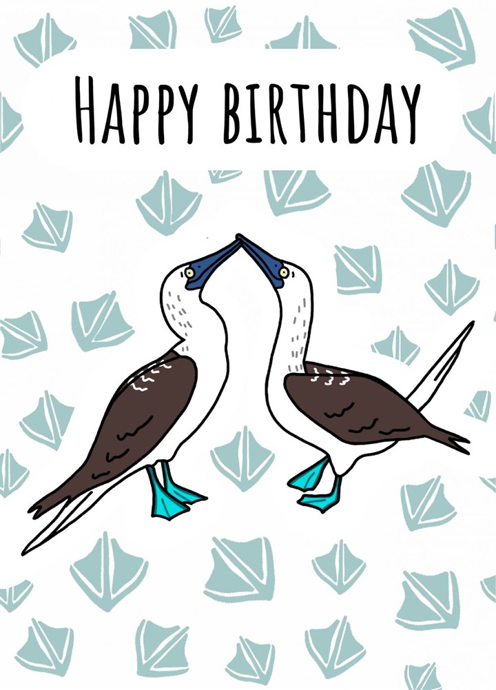 Blue Footed Booby Birthday Card