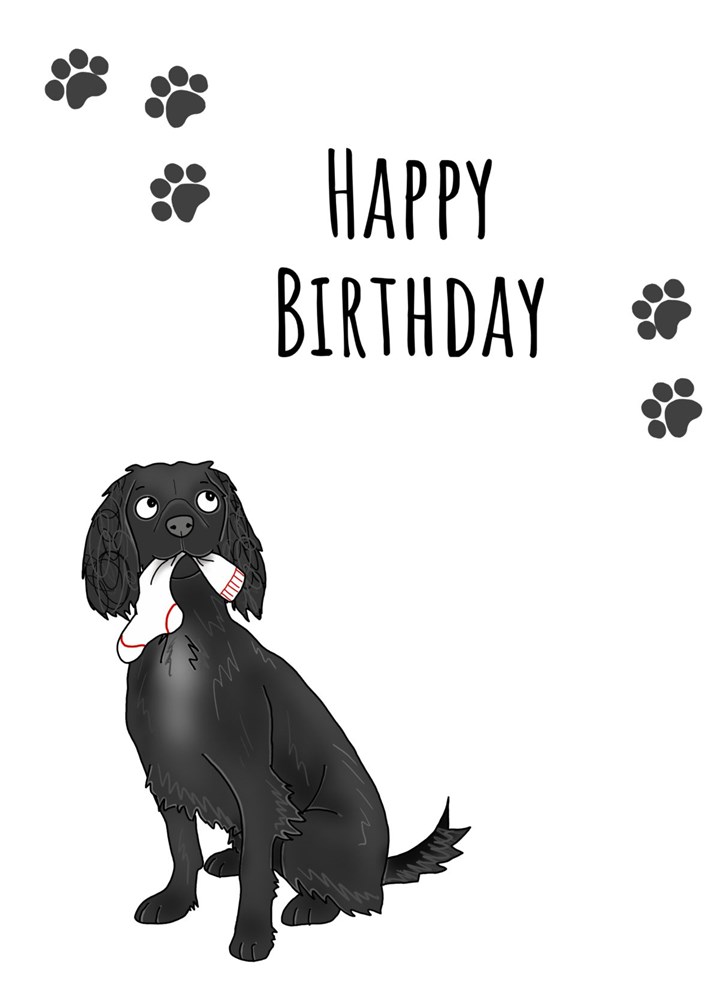 Black Cocker Spaniel Birthday Card