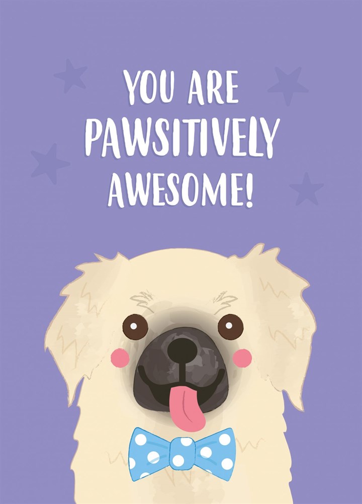 You Are Pawsitively Awesome! - Dog Congratulations Card
