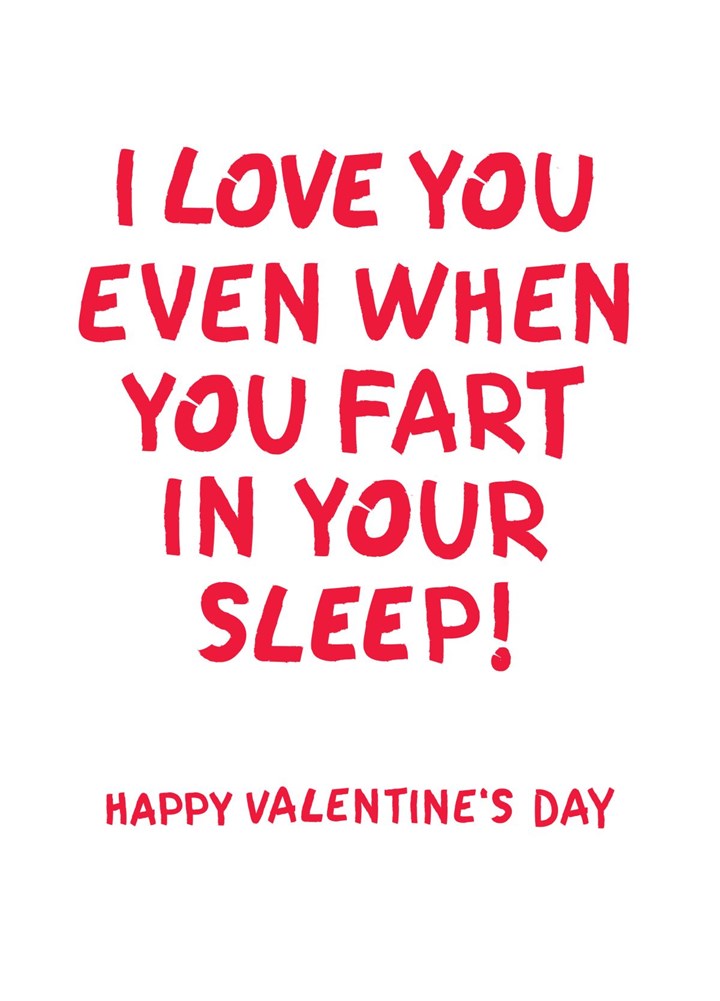 I Love You Even When You Fart In Your Sleep Card