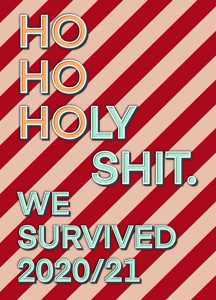 Holy Shit We Survived Christmas And New Year Card