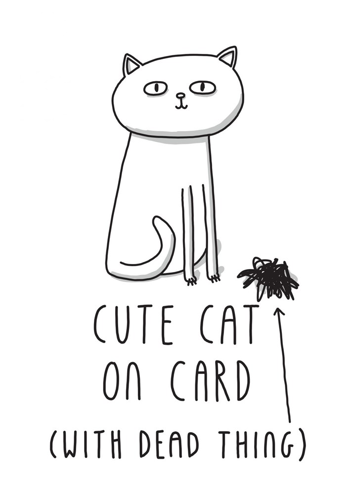 Cute Cat On Card. Card