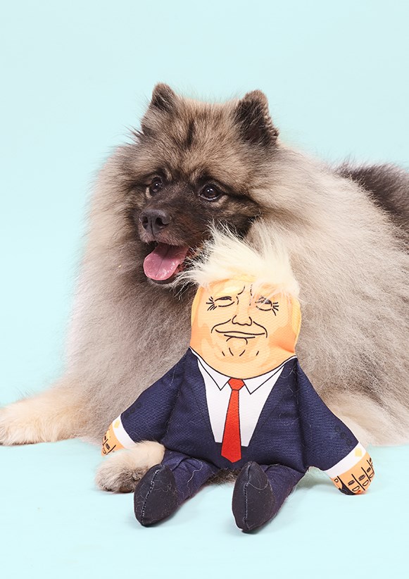 Donald Trump Dog Toy