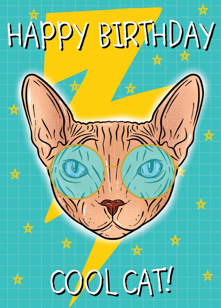 Happy Birthday Cool Cat! Sphinx Cat Colourful Card