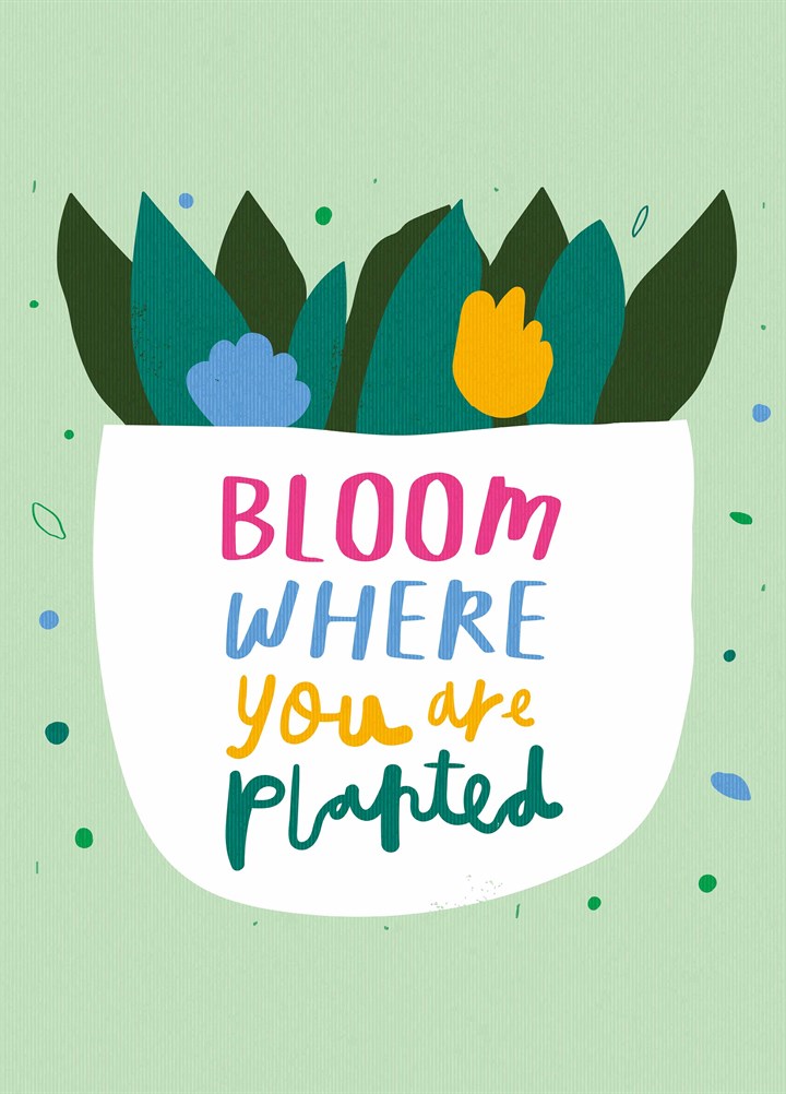 Bloom Where You Are Planted Card