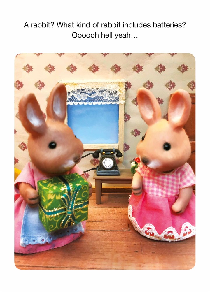 A Rabbit Card