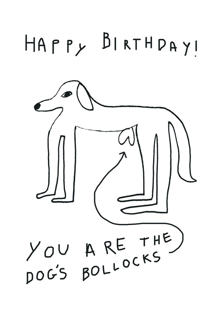 Happy Birthday! You Are The 'Dog's Bollocks.' Card