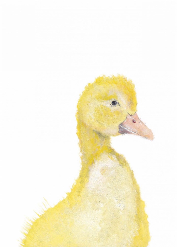 Duck Greetings Card