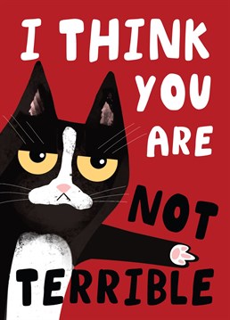 Funny Cat Valentine's Day Card
