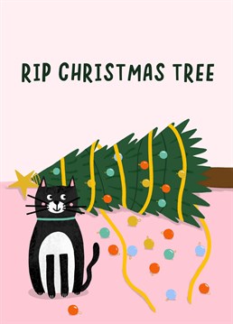This funny Christmas card features a naughty cat who has knocked over the Christmas tree. Send this relatable Christmas card to a cheeky cat owner. Rest in peace Christmas tree! Designed by Amelia Ellwood