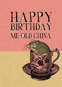 Cockney rhyming slang wishing your old china plate (mate) with this delightful Birthday card by Art File.