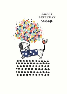Get tails wagging with this sweet Art File birthday card, perfect for a sausage dog lover.