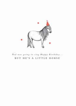 There's neigh way that Ned's up to that, bless him! Have a horse lover snorting with laughter on their birthday with this punny pony by Art File.