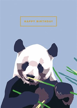 Forget a diet of greens and leaves - it's your birthday! There's no better time to panda to your sweet tooth. Designed by Art File.