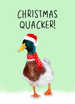 What a Christmas quacker!     The perfect card to send to a loved one this Christmas to make them laugh!    Designed by Amy Florence Design