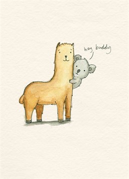 Llama Buddy. Say hi to your best bud with this sweet Birthday card by Alicorn Birthday cards. This cream Birthday card has a drawing of llama and a koala and says hey buddy.