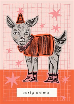 Happy birthday to party animals and party animals only, send this card to your favourite silly goat. Designed by Aimee Mac Illustration