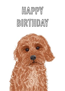 An adorable Cockapoo portrait illustration features on this happy birthday greeting design.