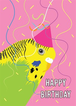 A cute green budgie bird in a party hat features on this colourful birthday greeting.