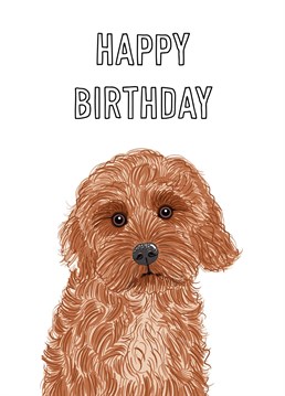 An illustration of an adorable Cockapoo dog features on this cute birthday greeting.