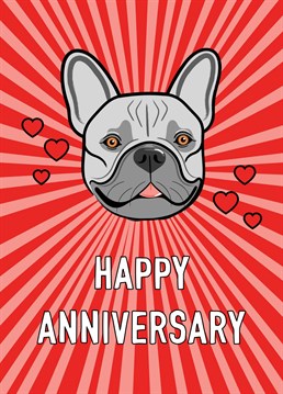 An adorable French Bulldog ( Frenchie) bursting with love features on this cute and colourful happy anniversary greeting.