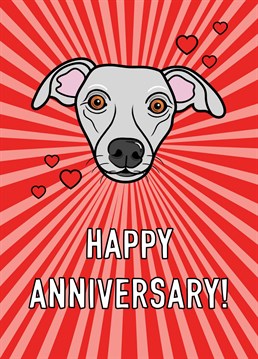A Whippet dog portrait features on this cute wedding anniversary card. Perfect for dog lovers.