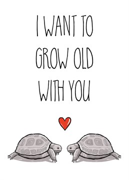 A romantic sentiment featuring a tortoise couple. Perfect for wedding anniversaries, Valentine's Day or just to show some love.