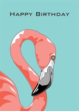 A stylish birthday greeting featuring a beautiful pink flamingo.
