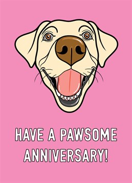 An adorable Labrador dog portrait illustration features on this 'pawsome' anniversary card.