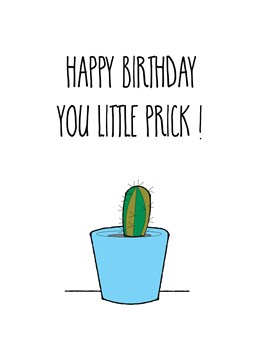 A cheeky birthday greeting for the little prick in your life!!