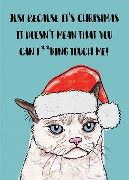 Cats will be cats even at Christmas!!