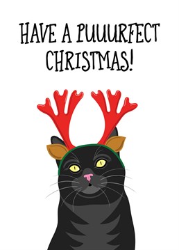The puuurfect Christmas card for cat lovers.