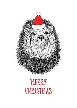 A Merry Christmas card featuring a cute hand drawn hedgehog.