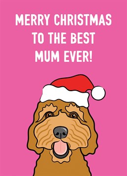 An adorable Cockapoo dog features on this cute Christmas greeting card design.