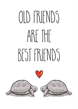 We all know that there are some friends who stick with us through the good and the bad and will be with us always. This cute tortoise pair is a wonderful reminder of that special relationship.
