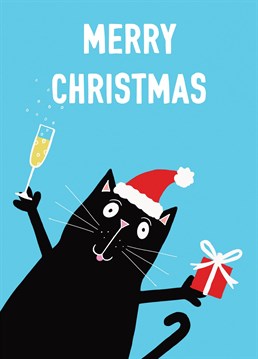 A cute cat celebrating Christmas in a festive hat, bearing gifts and drinking fizz!