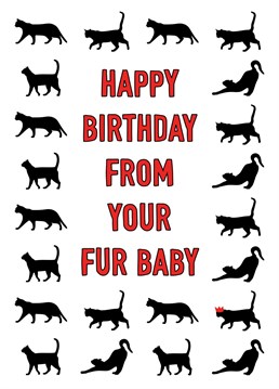 A cute cat silhouette pattern features on this birthday design for cat lovers.