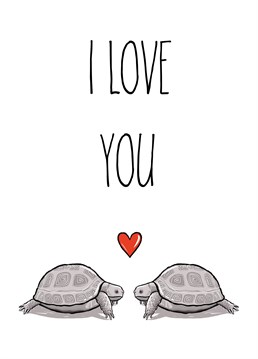 An 'I love you' featuring a pair of cute tortoise to symbolise a long term relationship. Perfect for anniversaries and Valentine's Day.