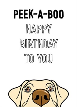A cute peek-a-boo Golden Labrador features on this birthday card for dog lovers.